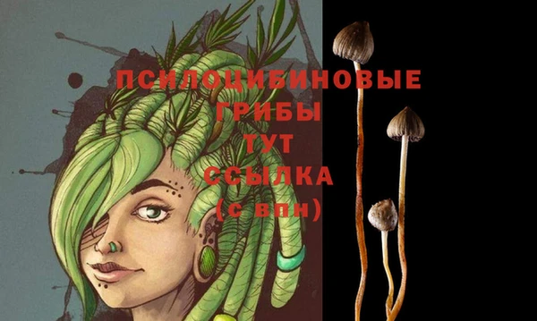 Альфа ПВП Нефтекумск
