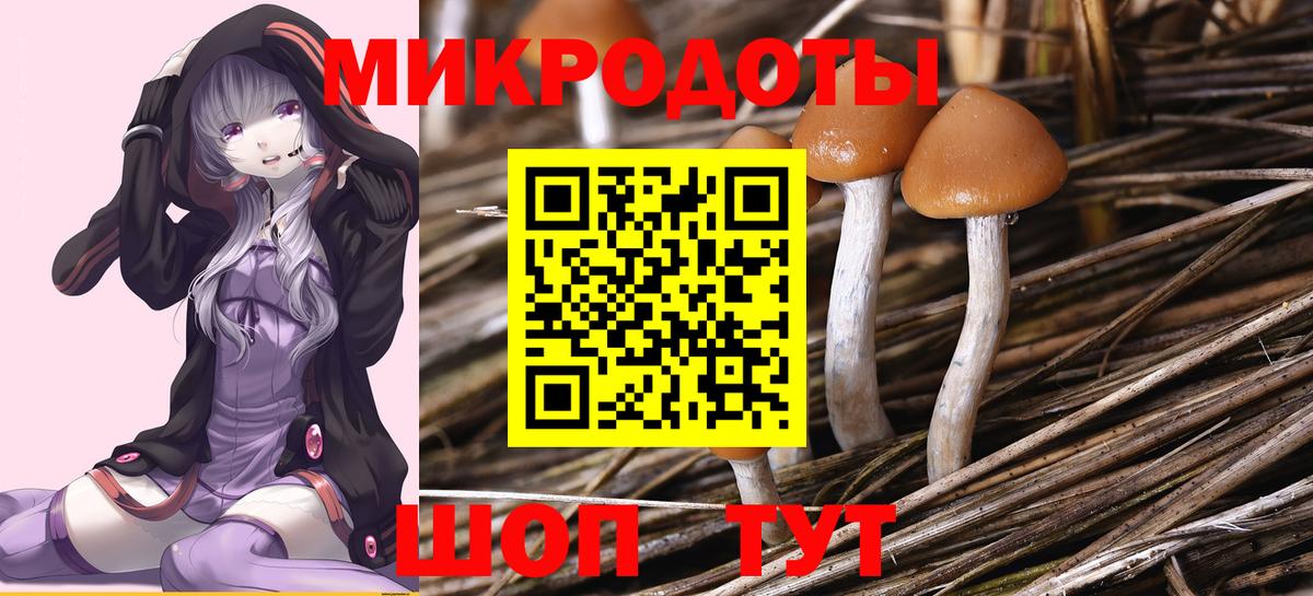 Галлюциногенные грибы Psilocybine cubensis Елец