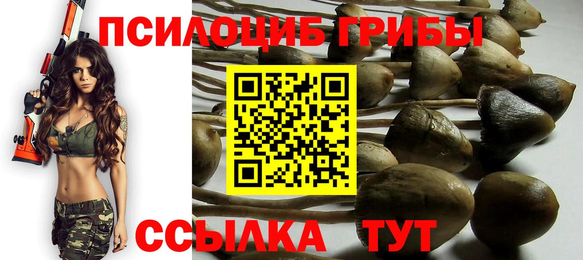 магазин продажи   Галлюциногенные грибы Psilocybine cubensis  Елец  Вход с VPN  Псилоцибиновые грибы мицелий 