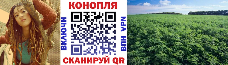 Канабис конопля Елец